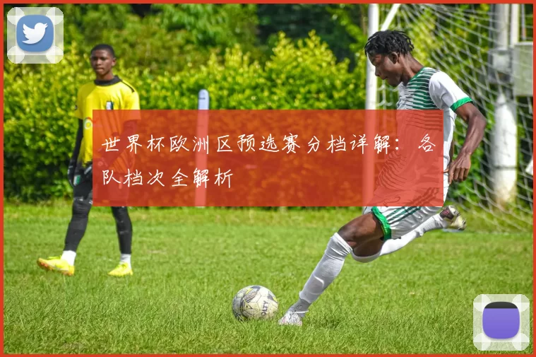 世界杯欧洲区预选赛分档详解：各队档次全解析