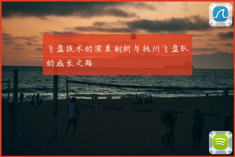 飞盘技术的深度剖析与杭州飞盘队的成长之路