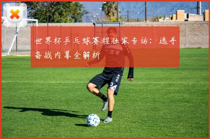 世界杯乒乓球赛程独家专访：选手备战内幕全解析