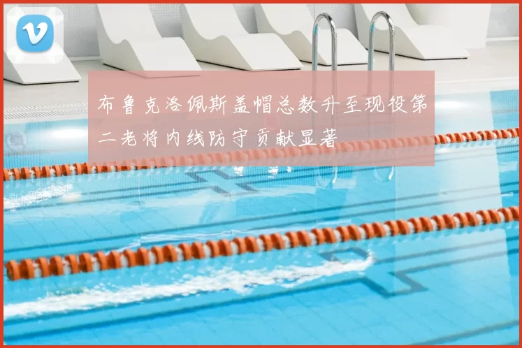 布鲁克洛佩斯盖帽总数升至现役第二老将内线防守贡献显著
