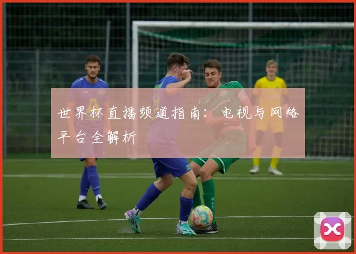 世界杯直播频道指南:电视与网络平台全解析