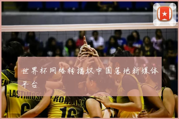 世界杯网络转播权中国落地新媒体平台