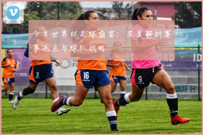 今年世界杯足球盛宴：深度解析赛事亮点与球队战略